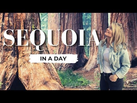 Sequoia National Park video