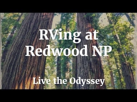 Redwood National Park video